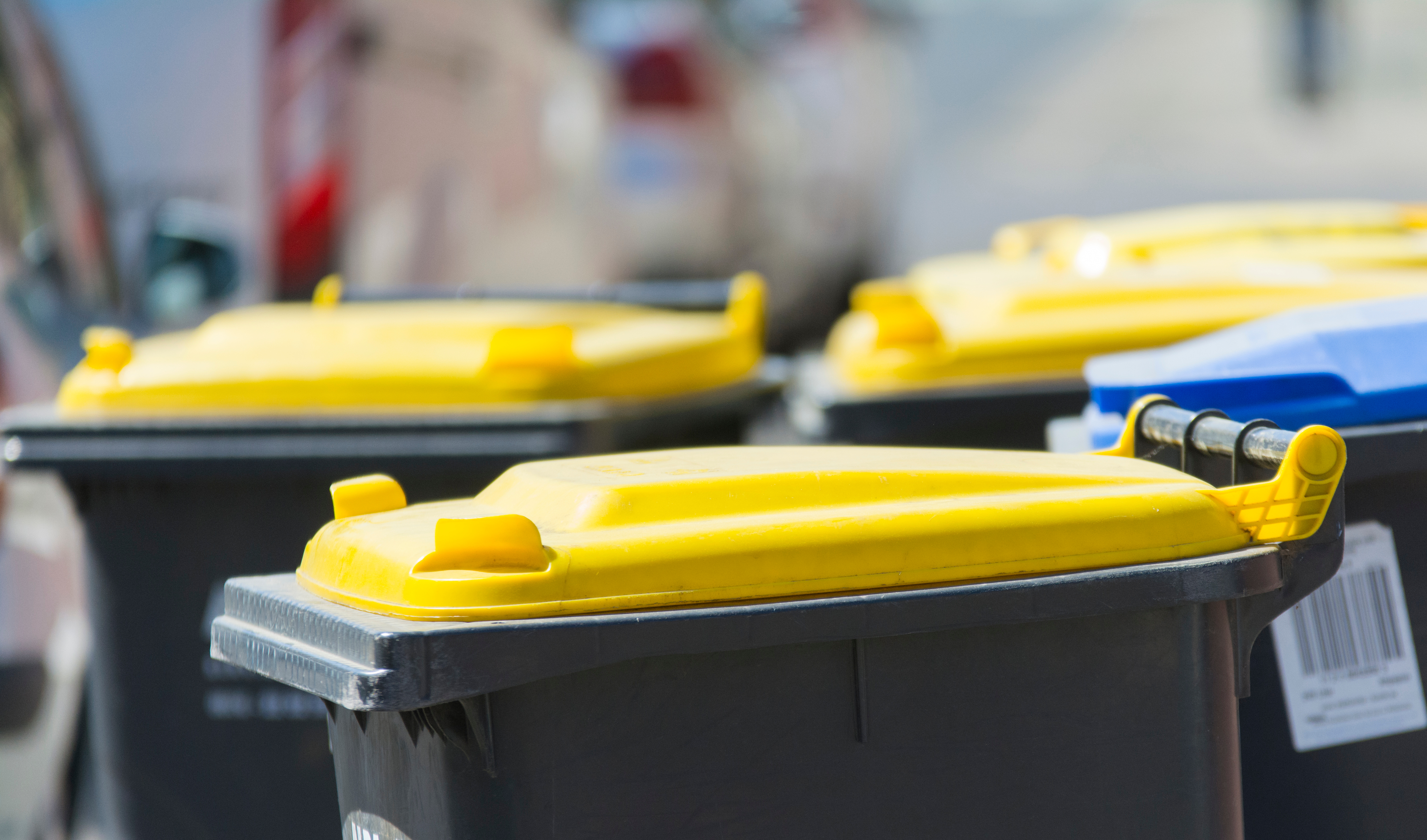Gelbe Tonne: Abfuhrtermine sind online